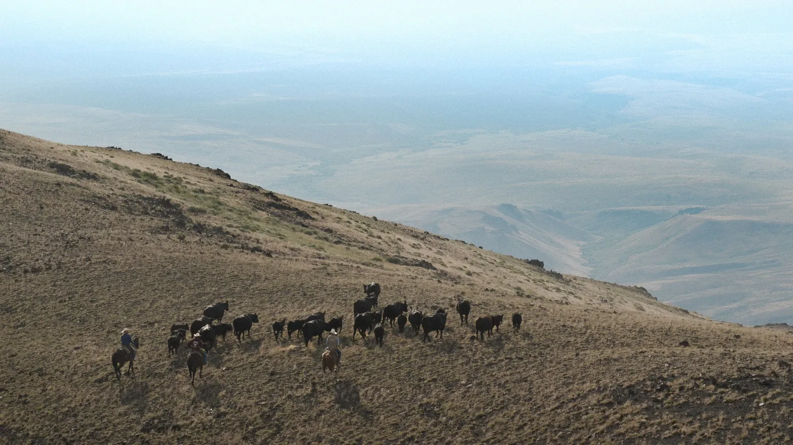 The Caldera